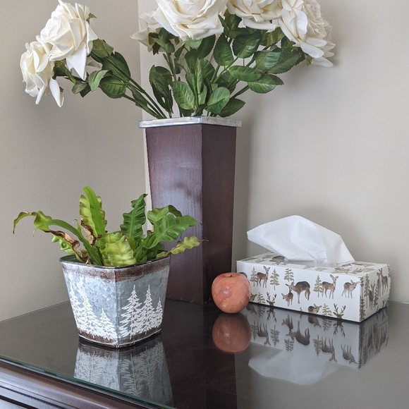 Apple Decor - Picture 2 of 4